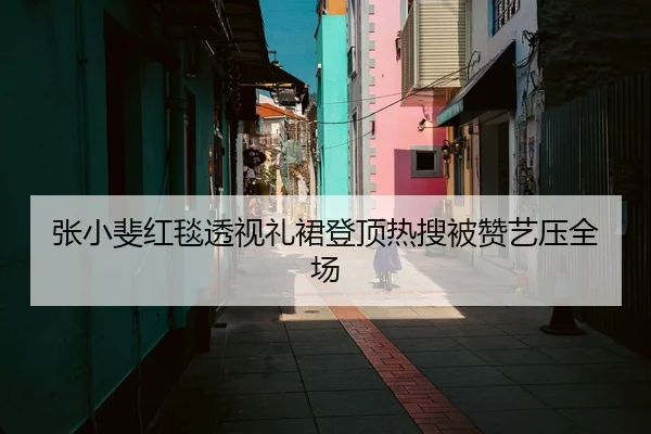 张小斐红毯透视礼裙登顶热搜被赞艺压全场